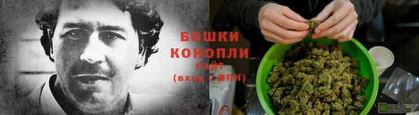 2c-b Алзамай