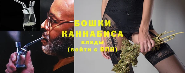 Альфа ПВП Пересвет