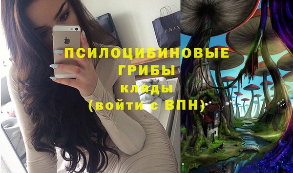 твердый Покачи